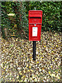 TL7554 : Wickham Street Postbox by Geographer