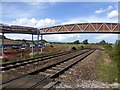 SX9784 : New bridge being constructed, Powderham (2) by David Smith