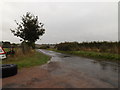 TM0661 : Rendall Lane, Old Newton by Geographer