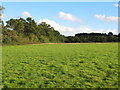 TQ4394 : Twenty Two Acres, Roding Valley Meadows Nature Reserve by Roger Jones