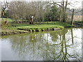 SP2965 : Floodmeadow, River Avon by Emscote Gardens, Warwick 2014, March 12, 15:54 by Robin Stott