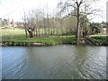 SP2965 : Floodmeadow, River Avon by Emscote Gardens, Warwick 2014, March 21, 15:09 by Robin Stott