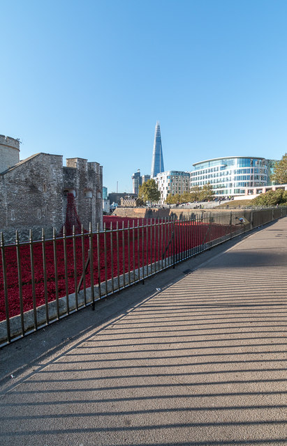 Poppies by the Tower, London