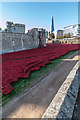 TQ3380 : Poppies by the Tower, London by Christine Matthews