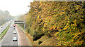 J2968 : Autumn trees, M1, Dunmurry (October 2014) by Albert Bridge