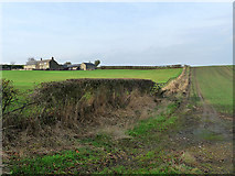  : Beckley Farm by Oliver Dixon