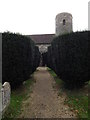 TM2095 : Church Path to St.Mary the Virgin Church by Geographer