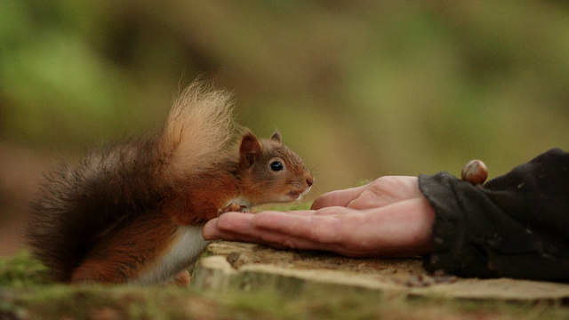 "Can you move it a little closer, please?"