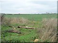 TL0828 : New use for an old telegraph pole by Christine Johnstone