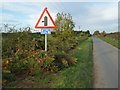 SE6221 : Junction sign on Field Lane by Steve  Fareham