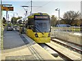 SJ8088 : Metrolink Airport Line, Roundthorn by David Dixon