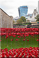 TQ3380 : Tower poppies by Ian Capper