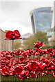 TQ3380 : Tower poppies by Ian Capper