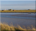 TM4348 : Stony Ditch, Orford Ness by Ian Taylor