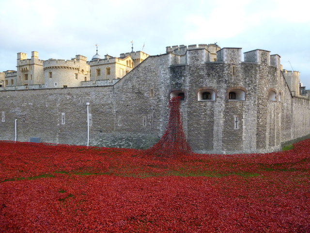 Poppies at The Tower of London #7