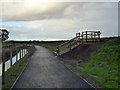 SX9784 : NCN2 north of Powderham church by David Smith