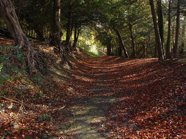 Pilgrims Way, Netley Park