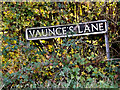 TM1882 : Vaunce's Lane sign by Geographer