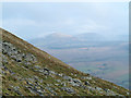 NY3026 : Scattered angular rocks on mountain slope by Trevor Littlewood