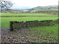 SD9849 : Flood embankment near Snaygill Ings, Airedale by Christine Johnstone