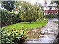 SJ9593 : Heavy rain on Werneth Avenue by Gerald England