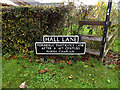 TM1582 : Hall Lane sign by Geographer