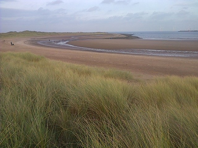 North Gare Dunes