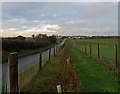 NJ9761 : Hedgerow planting, Memsie, Aberdeenshire by Claire Pegrum