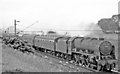 SJ5875 : Up express on WCML between Weaver Junction and Acton Bridge, 1963 by Ben Brooksbank