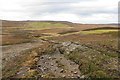 NH9532 : Track near Glentarroch by Richard Webb