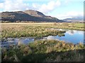 SH5941 : Waterlogged grassland , Traeth Mawr by Christine Johnstone