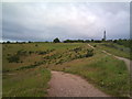 SJ8147 : Silverdale Country Park: hairpin descent into the 'Void' by Jonathan Hutchins