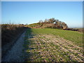 SU0669 : Round Barrow with WW2 gun emplacement, north of West Down by Vieve Forward