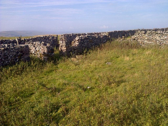 Ruined Sheepfold, Hearne Top