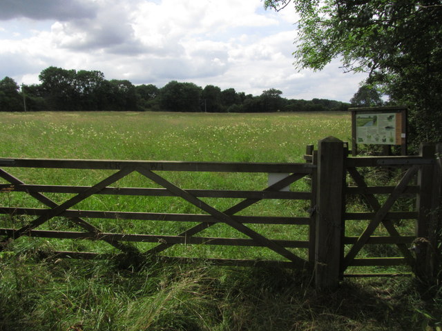 Cribb's Meadow Nature Reserve, near Thistleton, Rutland