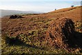 SO2716 : Bracken bales by Philip Halling