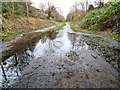 SJ9594 : Puddle on the Trans Pennine Trail by Gerald England