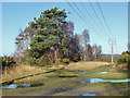 SU8459 : Path junction, Yateley Common by Alan Hunt