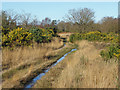 SU8358 : Waterlogged track, Yateley Common by Alan Hunt