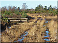 SU8358 : Drag hunt jumps, Yateley Common by Alan Hunt