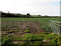 SS8779 : December view of a field in Laleston by Jaggery