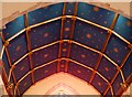 TV4899 : Chancel ceiling, St. Peter's, East Blatchington by nick macneill