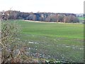 SE3226 : Farmland south of Robin Hood's spoil heap by Christine Johnstone