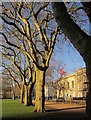 ST5872 : Queen Square, Bristol by Derek Harper