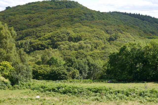 View towards Coed-y-garth from the lower camping fields at Graig Wen