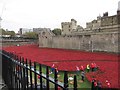 TQ3380 : Poppies at the Tower 1 by Bill Nicholls