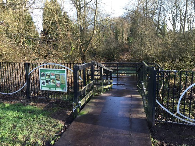 Lyme Valley Park: wildlife basin