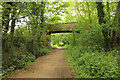 SK5351 : Linby Trail by Richard Croft