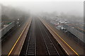 ST0413 : Into the fog at Tiverton Parkway railway station  by Jaggery