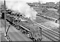 NY4054 : Carlisle, northward view from St Nicholas Bridges over railway complex, 1960 by Ben Brooksbank